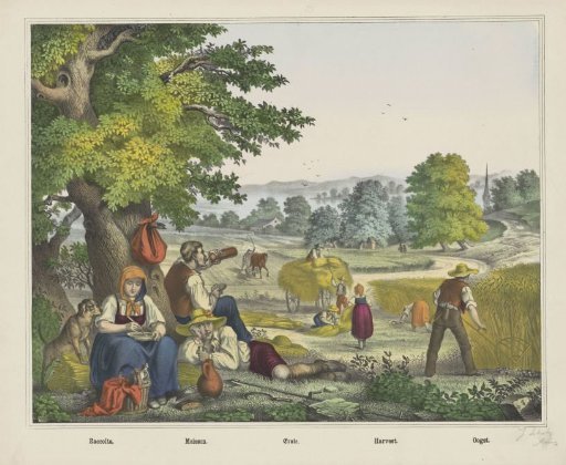 Raccolta. / Moisson. / Ernte. / Harvest. / Oogst