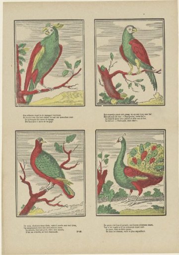 Birds