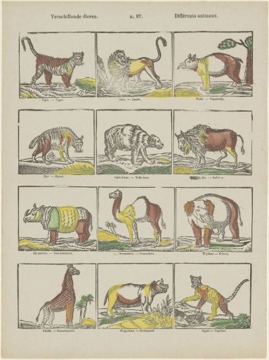 Various animals / Différents animaux