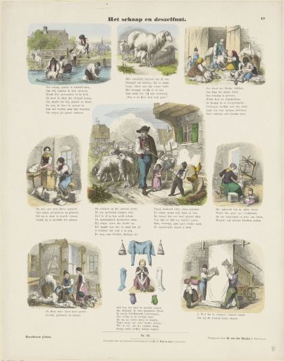 The Sheep and Its Usefulness