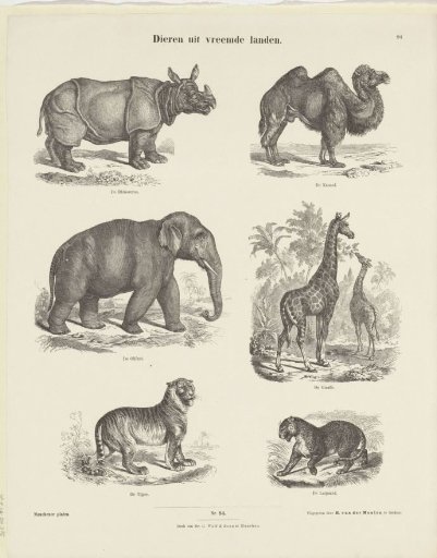 Animals from Foreign Lands