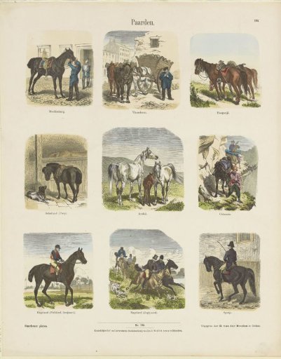 Horses