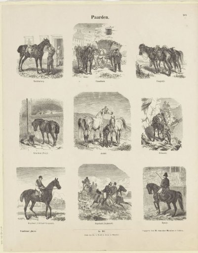 Horses