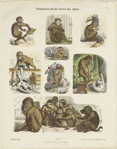 Scenes from the Life of Apes