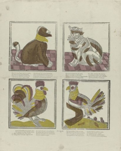 Animals