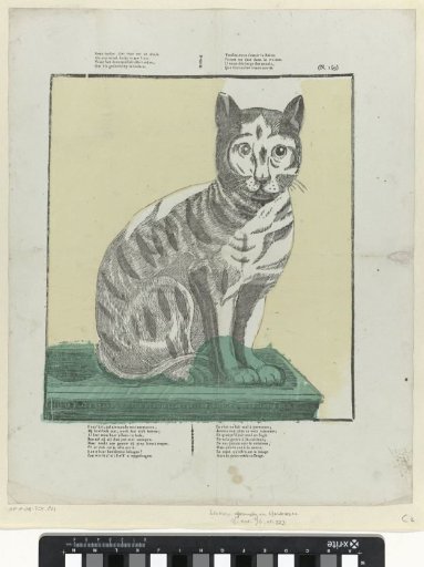 No animal is more useful against rats and mice / Than a pretty cat in your house [(...)]