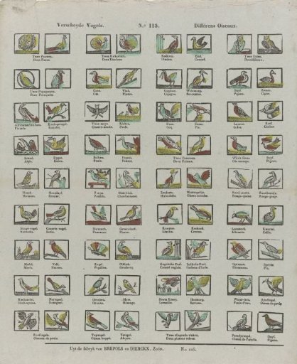 Various Birds / Différens oiseaux