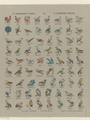72 Various Birds / 72 Différents oiseaux
