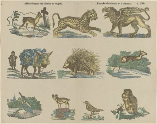 Images of Animals and Birds