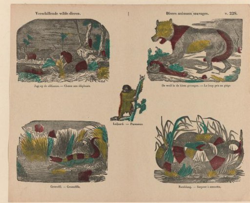 Various Wild Animals