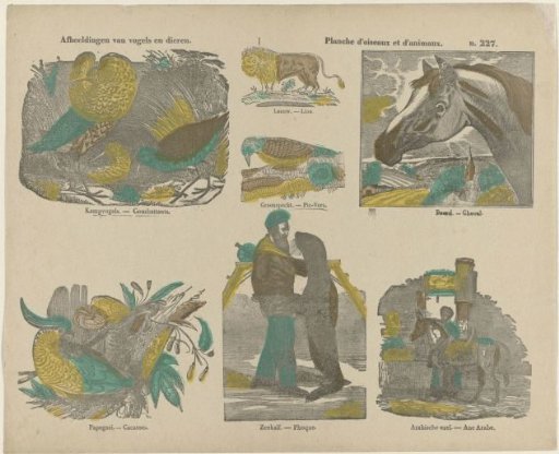 Images of birds and animals / Planche d'oiseaux et d'animaux