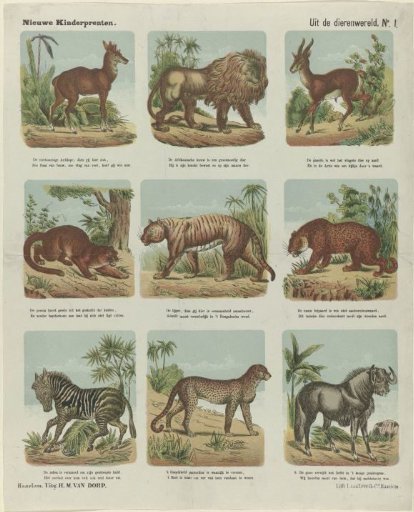 From the Animal Kingdom