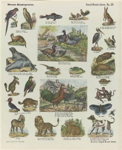 Various animals