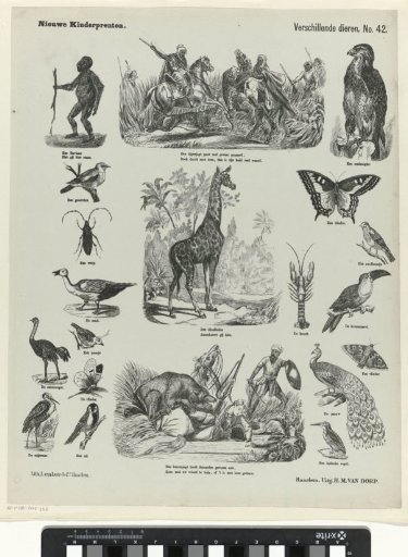 Various animals