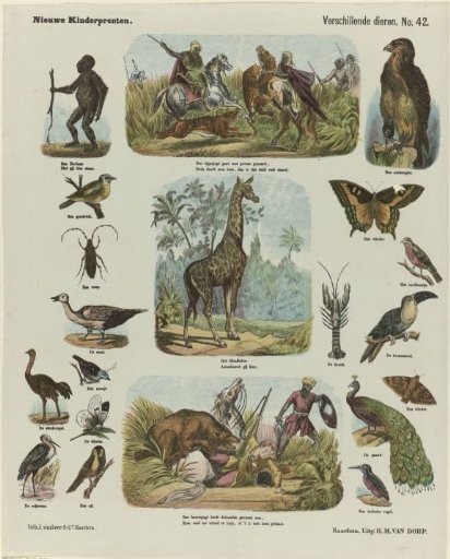 Various animals
