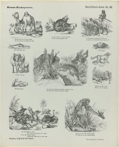 Various Animals