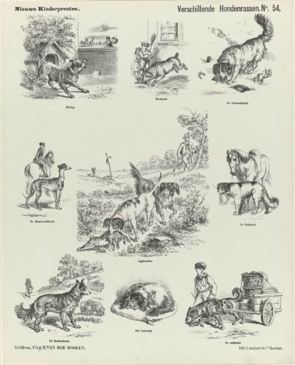 Various Dog Breeds