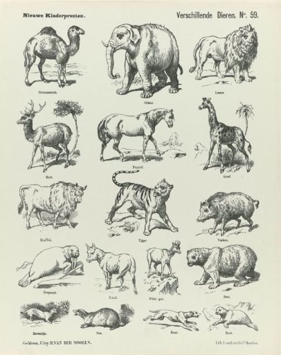 Various Animals