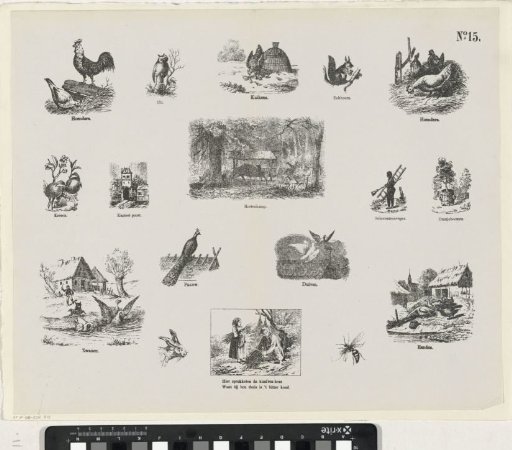 Various scenes