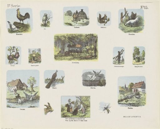 Various scenes