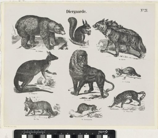 Menagerie