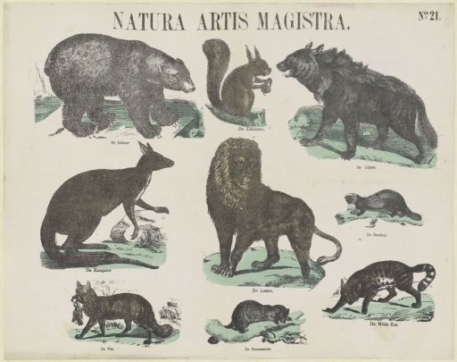 Menagerie