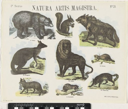 Natura artis magistra