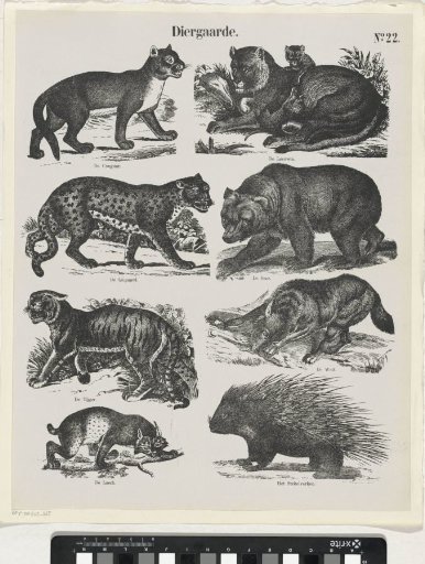 Menagerie