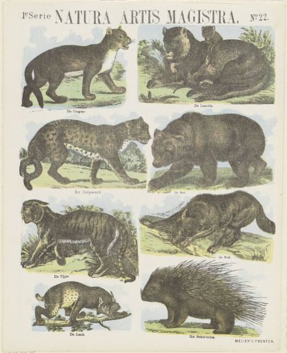 Natura artis magistra