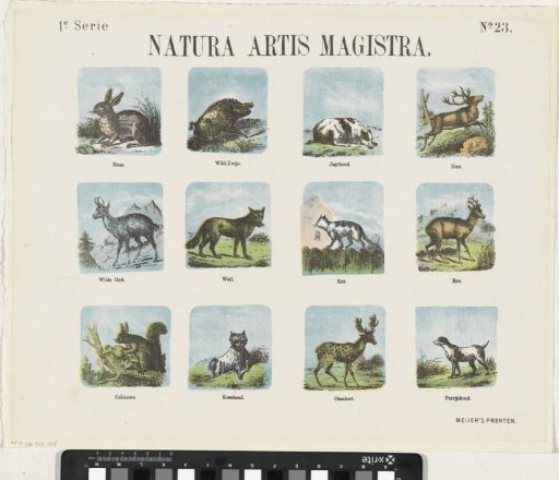 Natura artis magistra