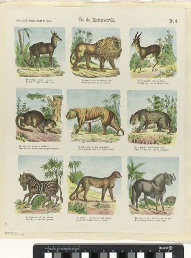 From the Animal Kingdom