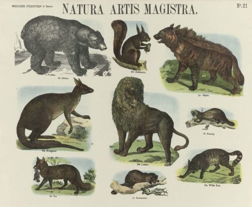 Natura artis magistra