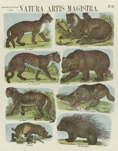 Natura artis magistra