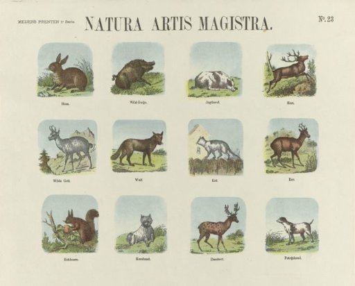 Natura artis magistra