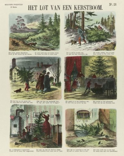 The Fate of a Christmas Tree