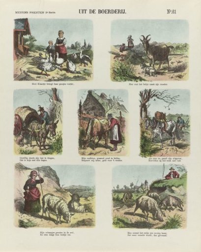From the Farm