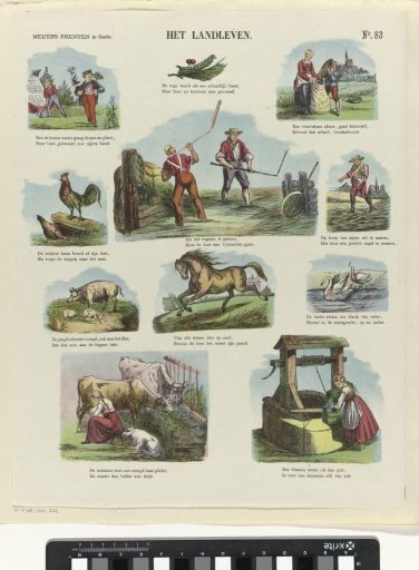 Country life