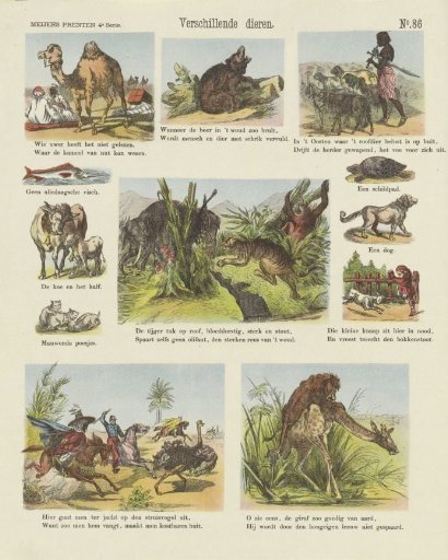 Various animals