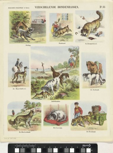 Various Dog Breeds