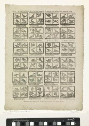 Come here now, fine children, and read these birds all / You have with great and small / here a hundred in number