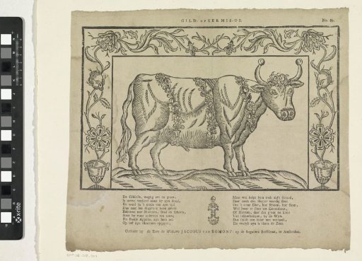 Guild or fair ox