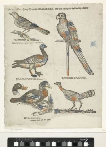 O young youth, behold these birds / Which resemble living creatures very well