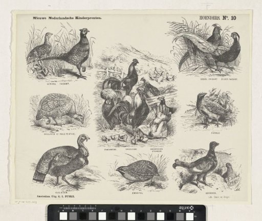 Chickens