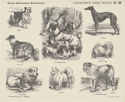 Tearing Animals (Dogs)