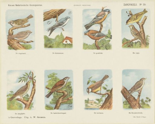 Songbirds