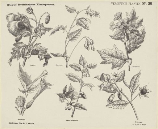 Poisonous Plants