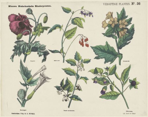 Poisonous Plants