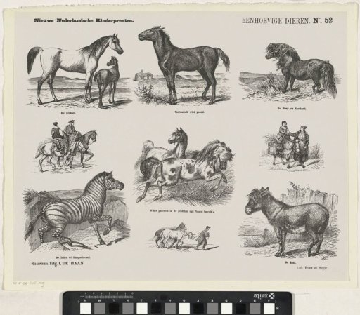 Unicorns