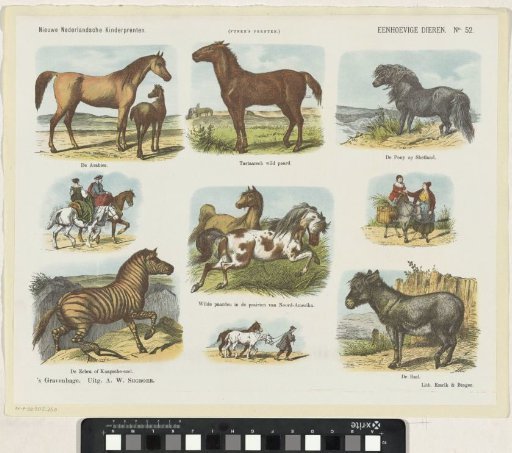 Unicorns