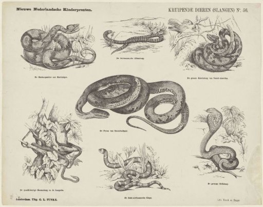 Creeping animals (snakes)